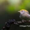 Fujinon XF500mm F5.6 R LM OIS WR - Thumbnail Image 9